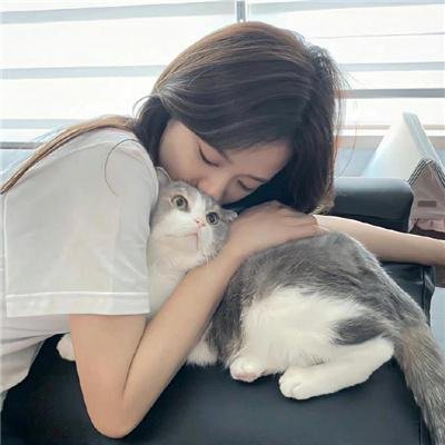 徽娘宛心